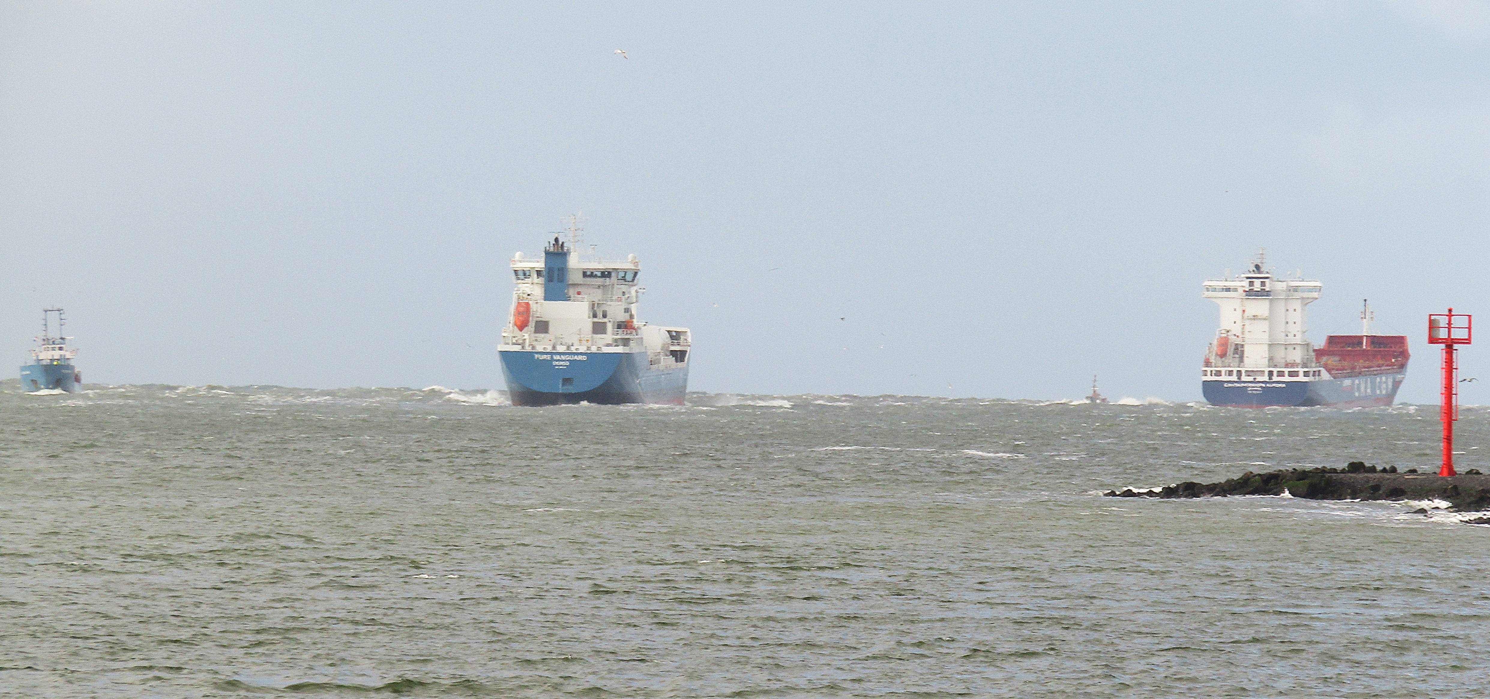 Pieren IJmuiden   17-11-24 
